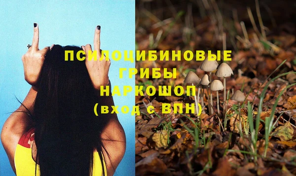 кокаин перу Михайлов