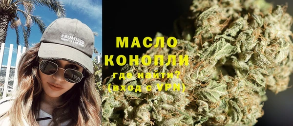 гидра Михайловка
