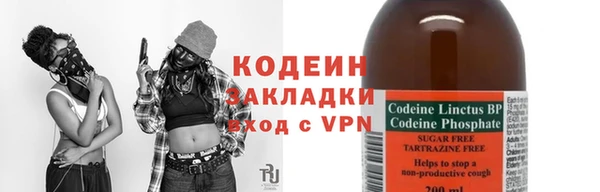 гидра Михайловка
