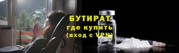 гидра Михайловка