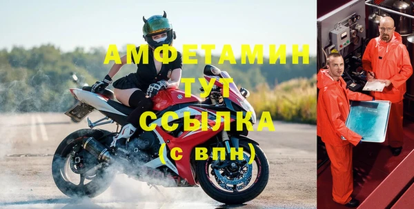 гидра Михайловка