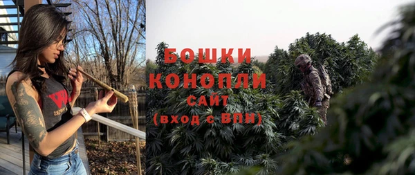 гидра Михайловка