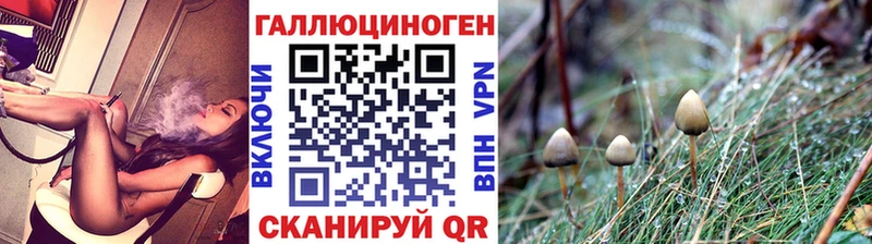 Купить закладки  Нижнеудинск  Псилоцибиновые грибы ЛСД 